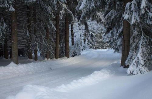 Erzgebirgsidyll Breitenbrunn Ferienwohnung - Foto 52