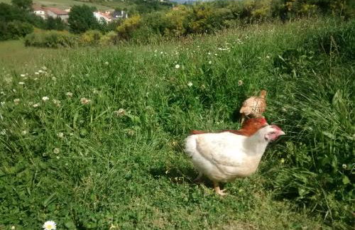 Casarao dos Reis - Foto 16