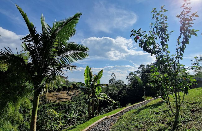 Bhutan Filandia - Photo 47