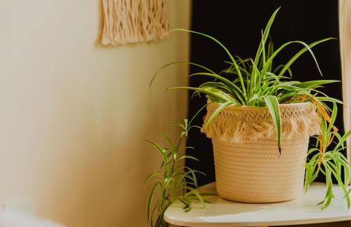 Lovely Bohemian Apartment in Heart of City Life - Foto 16