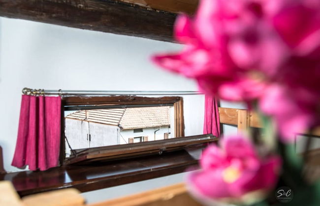 Feel at Home - Casa Graziosa - Photo 5