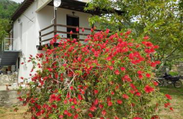 Lemongarden by the sea - Foto 20