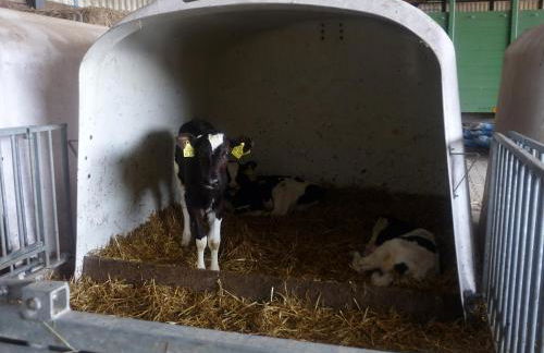 Hallmannshof - Foto 17