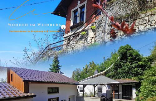 Riesling - Wohnen im Weinberg in der Toskana des Nordens - Foto 1