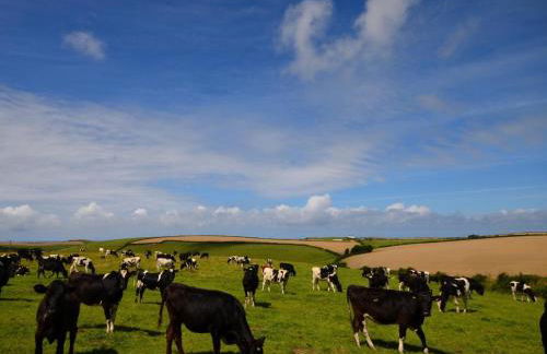 2 Bed in Port Isaac oc-44397 - Foto 18