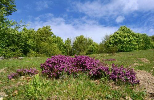 Casa Busso - Happy Rentals - Foto 82