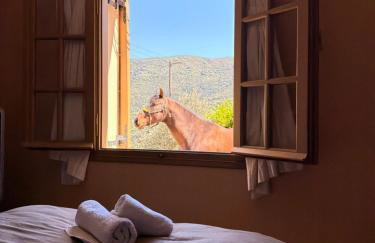 Getaway andros - Photo 11