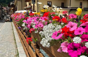 Casa Vacanze Cesana - Foto 45