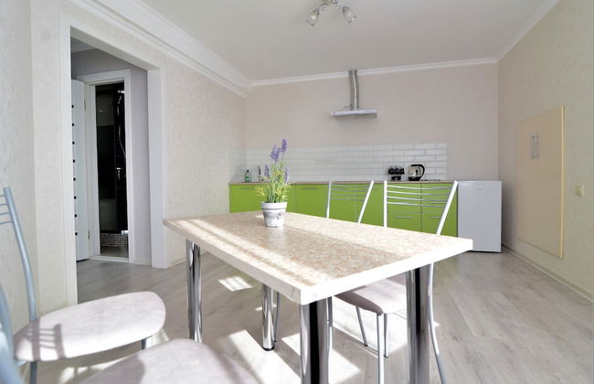 Megapolis Apartments on Bolshaya Manezhnaya street 13V - Foto 15