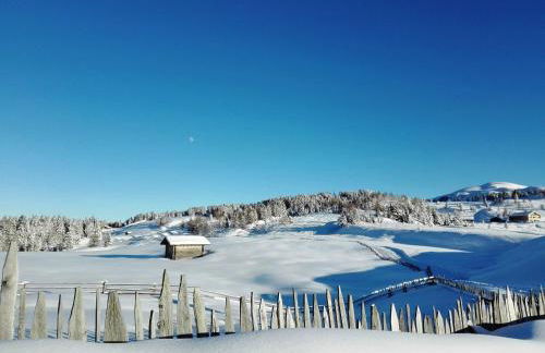 Baumgartnerhof - Foto 33