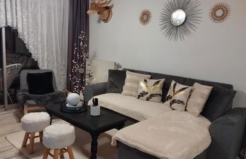 Le petit paradis au pied du Monte Blanco,jacuzzi privé, Rooftop,air de jeux - Foto 8