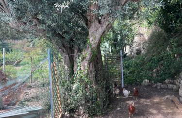 La Rosa dei Monti Iblei - Foto 10