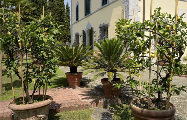 Villa Parri - Photo 42