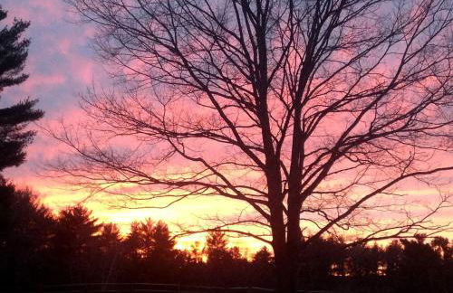 Two-Person Retreat on Horse Farm in Lee, New Hampshire - Photo 20