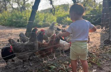 Ferien-und Bauernhof Gauster - Foto 22