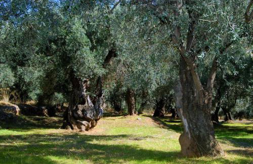 Κεντρικό κομψό ήσυχο στούντιο. - Foto 12