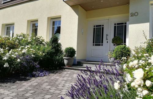 Ferienwohnungen Ambiente-Schmidt - Foto 1