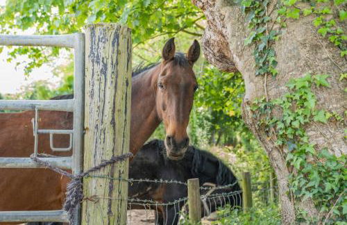 1 Bed in Aberaeron oc-bow300 - Foto 27