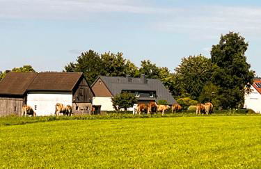 Apartment Mary Mehlmeisel - Foto 28