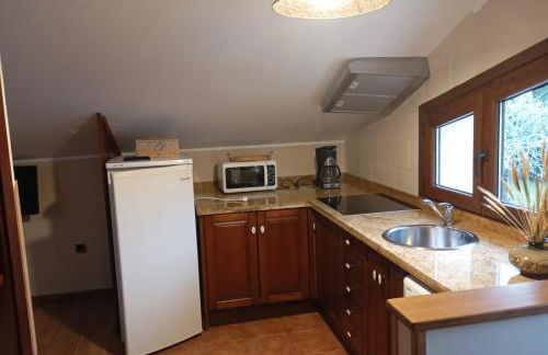 Apartamentos Picos de EUROPA - Foto 13