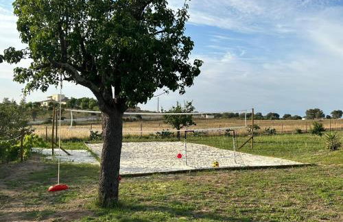 Herdade dos Sepol - Foto 20