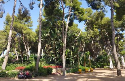 Central Park Salou VIP - Foto 47