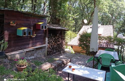 La Casa dei Daini - Foto 11