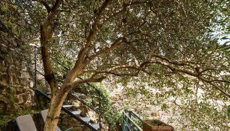 Giardino segreto, in centro - Foto 2, Garden