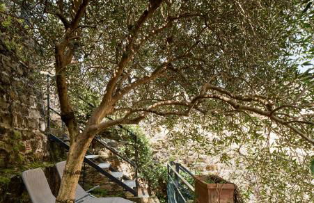 Giardino segreto, in centro - Foto 2