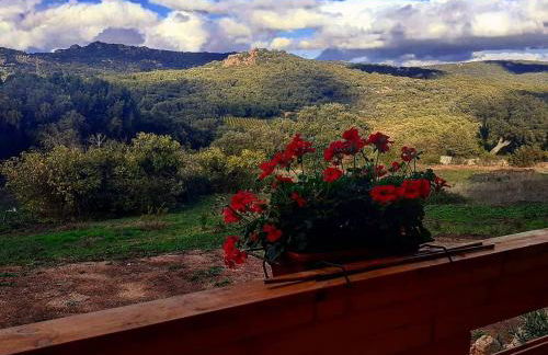 Eco Lodge nella natura Con Piscina privata "La Grande Quercia" - Foto 40