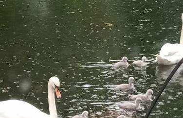 Péniche Helios - Foto 11