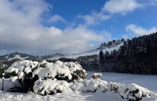 Haus am Wald Willingen - Photo 5