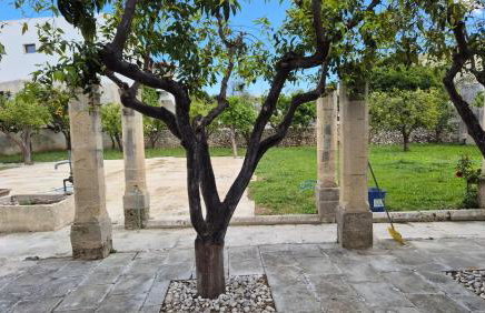 Palazzo Chloris Romantica Dimora Liberty Salento - Foto 38