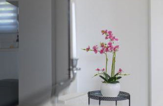 Treno, Luxurious Apartment with Jacuzzi and Sea-View - Foto 34