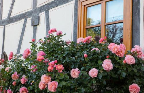 Fachwerktraum im Hof - Foto 12