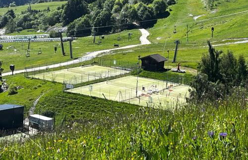 LE CORBIER Vue pistes Studio 5 personnes entièrement rénové et labellisé Qualité Hébergement Sybelles - Foto 26
