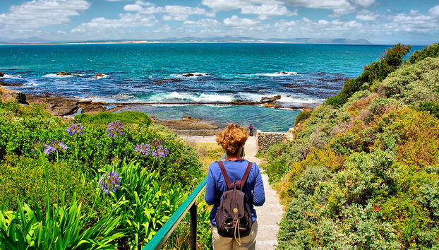 Excursión de día completo a Hermanus - Foto 3