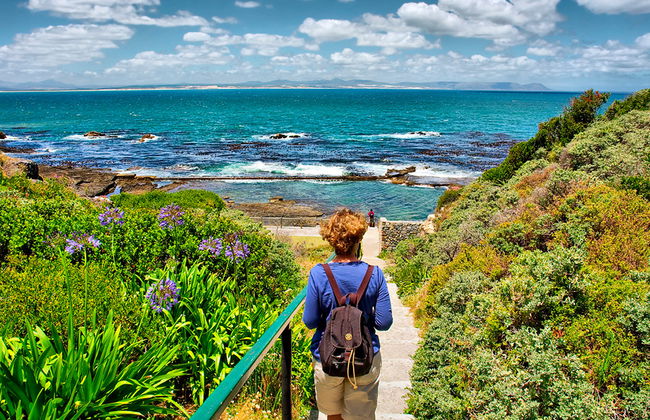 Excursión de día completo a Hermanus - Foto 3