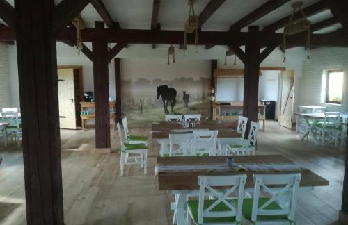 Pensjonat Przy Stajni - Foto 47