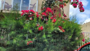 Vila Mulungu Flats - Foto 2