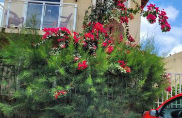 Vila Mulungu Flats - Foto 2