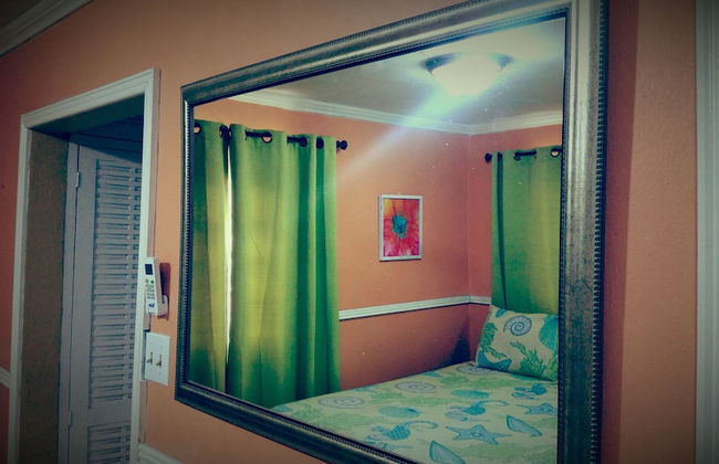 The Oasis at Oaklands Apartment 2 - Photo 3