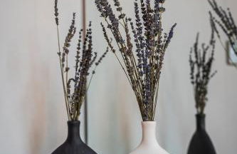 FuoriPorta Affitti Brevi - MilleLire - CaSanGiorgio104 - Photo 36