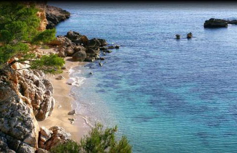 Apartmani Zaninović - Foto 3