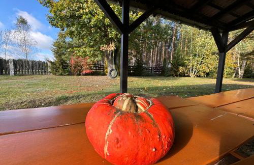 Dom przy Rezerwacie - Foto 40