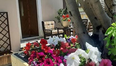 Holiday House NELLINA - Photo 1