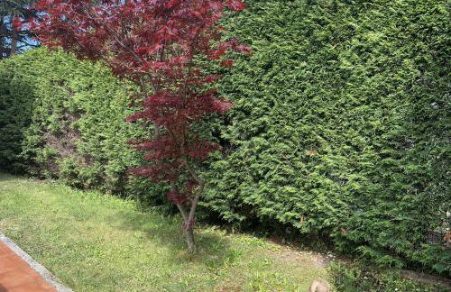 La Casa de Blanca - Foto 17