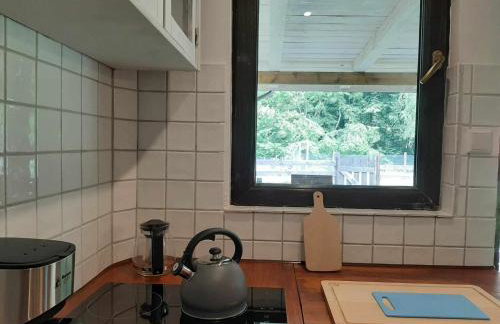 Domki w Lipowej Dolinie - Foto 4