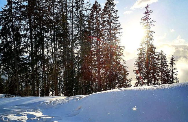 Lilo/4-Zimmer - Foto 32