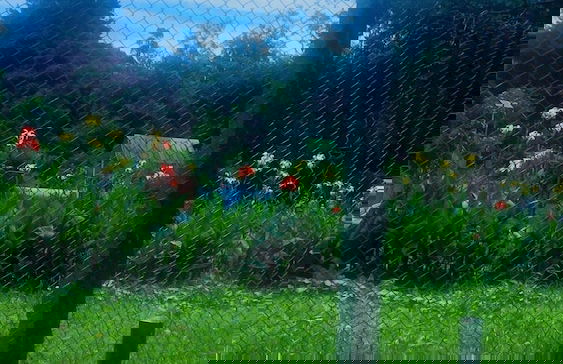 Inroma Holiday Resort - Foto 52